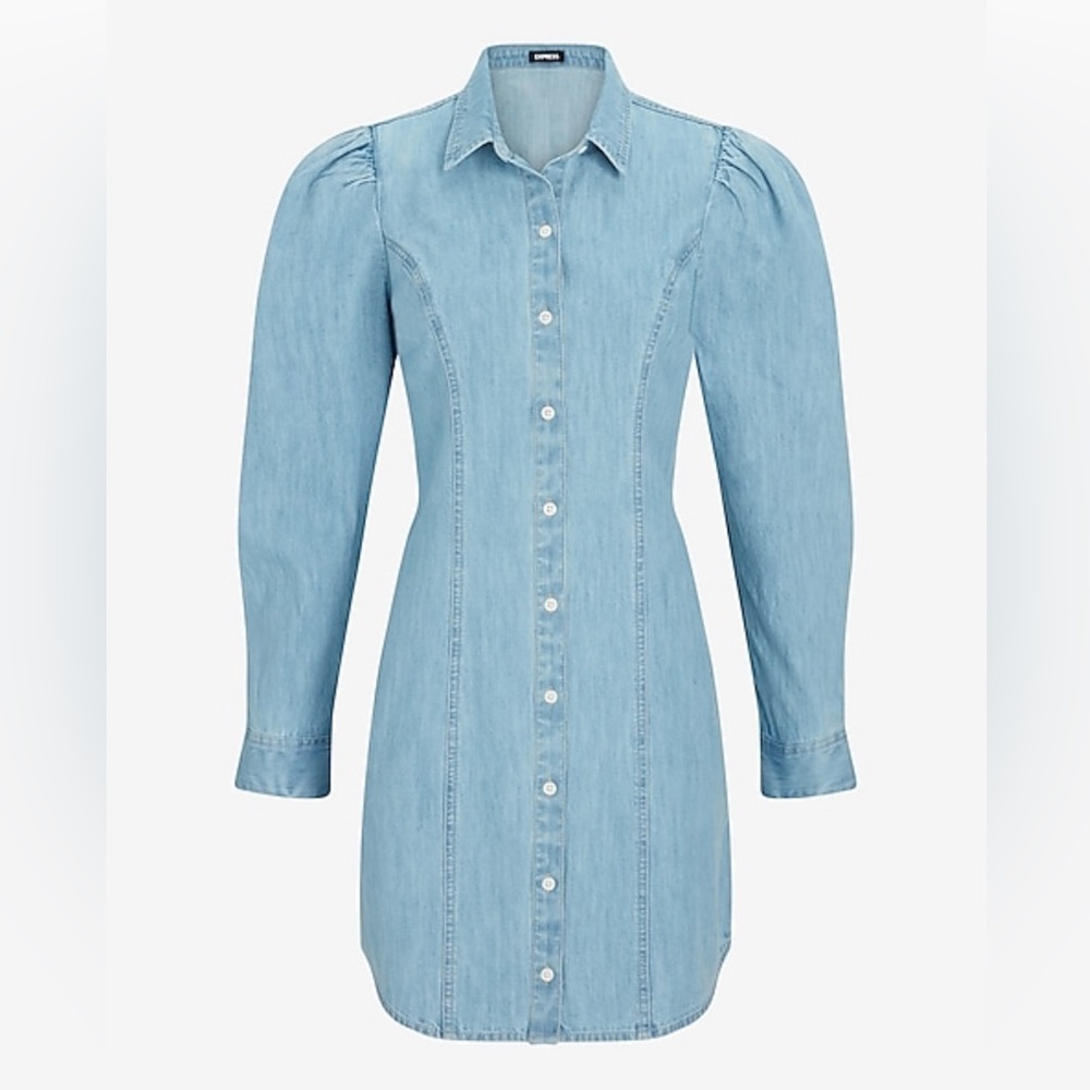Express Denim Shirt Dress